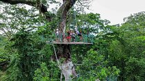 Vertical Multiadventure Park - Giant Trees