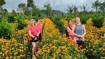 Mount Batur to Ubud – Soft Adventure Cycling