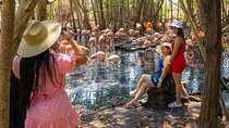 Full Day Tour to the Playa Blanca National Aviary and Plankton