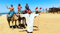 Tangier Private Day Tour from Tarifa or Algeciras