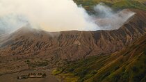 1 Day Tour, Wonderful Mount Bromo Sunrise From Surabaya or Malang