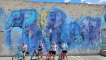 Dallas Electric Bike Rental