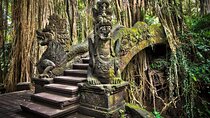 Bali Ubud Tour: Monkey Forest, Waterfall & Rice Terrace