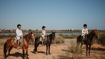 From Albufeira: Half-Day Hidden Gems & Horse Riding Tour