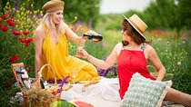 Kakheti All Inclusive Private Wine Tour Including Lunch