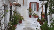 Sightseeing Private Tour in Athens Acropolis (Elysium Travel)