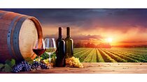Chianti Wine Tour from Florence to San Gimignano with 2 Wineries