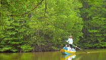 Monkey Island-Crocodile Farm - Can Gio Mangrove Forest 1 day tour