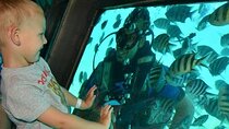 Panorama Semi Submarine Snorkeling Cruise Hurghada 