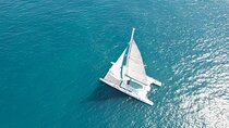 A day at Sea aboard Mundo Marino Catamaran in Valencia