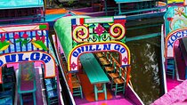 Floating adventure in Xochimilco