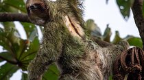Arenal Full Day Tour