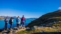 Half Day Guided Walking Tour on Banks Peninsula