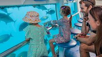 Panorama Semi Submarine Snorkelling Cruise in Makadi Bay