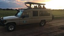 2 Days Tarangire park and Ngorongoro Crater from Zanzibar 