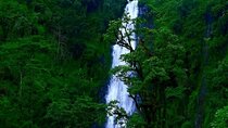 Materuni waterfall - coffee tour OR Chemka hot spring Tour