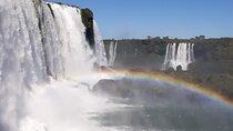 Brazilian Side of the Falls Private Tour with Lunch and Boat