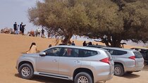 Small Sahara Private Day Tour