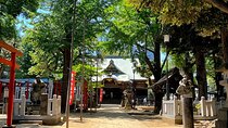Private walking Tour in Tokyo with a Local Guide