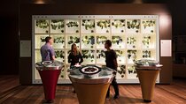Guided Wine Journey and Discovery Tasting Tour in Adelaide