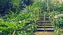 Full Day Nadi Discover Tour ( From Sigatoka Coral coast Hotels )