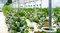 2-Hour Farm Experience in Gateway Yarra Valley