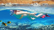 Tiran Island Full Day Boat Trip With Lunch from Sharm El Sheikh