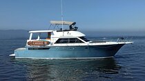 Private Yacht for up to 30 People