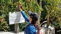 Jebel Akhdar Al Suwjara - Birkat Al Mouz Ruins - Private Full Day Tour