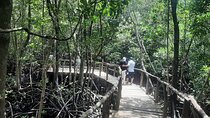 Private Spice Tour and Jozani Forest in Zanzibar