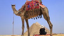 Pyramids of Giza, Sphinx and Egyptian Museum Day Tour