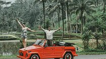 Highlight Ubud Tour in Classic Vintage Volkswagen