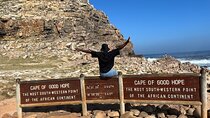 Private Guided Tour in Cape of Good Hope and Table Mountain