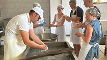 Mozzarella Experience with Tasting in Vico Equense