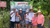 Private Dunns River Falls & Bluehole tour from Montego Bay