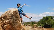 4x4 Land Cruiser Private 3 Day Safari Tour in Meru National Park