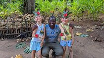 Full Day Private Spice Farm Stone Town and Prison Island