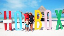 Exclusive Full Day Nature Expedition to Holbox Island