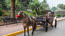 Horse-Drawn Carriage Ride from Aswan Hotels