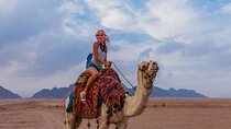  Riding a Camel West of Luxor 