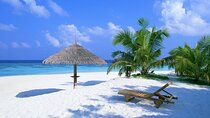 Contoy Reef & Isla Mujeres Tour! From Cancun & Playa del Carmen 