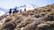 Ride in the semi-private Andes with roast