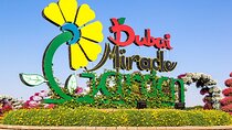 Dubai Miracle Garden Admission Ticket