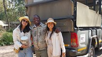 2 Nights & 3 Days in Kruger Park