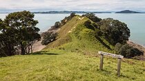 Duder Regional Park Half-Day Walking Tour