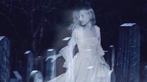 Dead Of Night Ghost Tour in Williamsburg / PARANORMAL EQUIPMENT