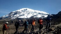 8 Days Trekking Mount Kilimanjaro Lemosho Route