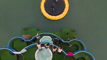 Oasis Bay Cruise 3-day Explore Halong Bay from Hanoi