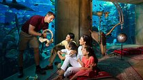 Atlantis Lost Chamber Admission Entry Tickets