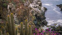 Private Garden Tour in Central Coast of Chile with Lunch included